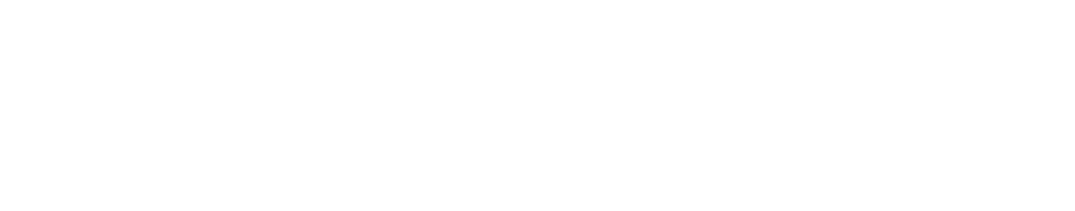 The Bauer